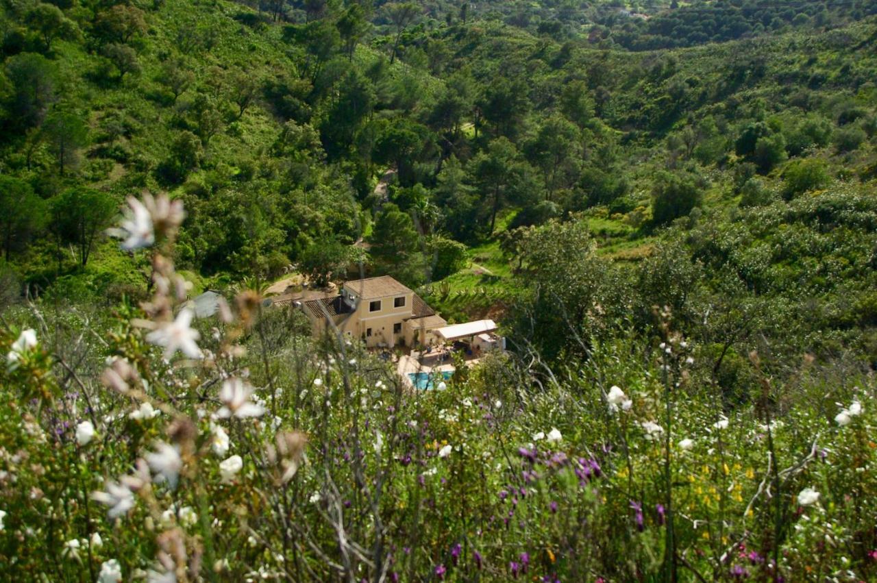 Terra Das Delicias Morenos المظهر الخارجي الصورة